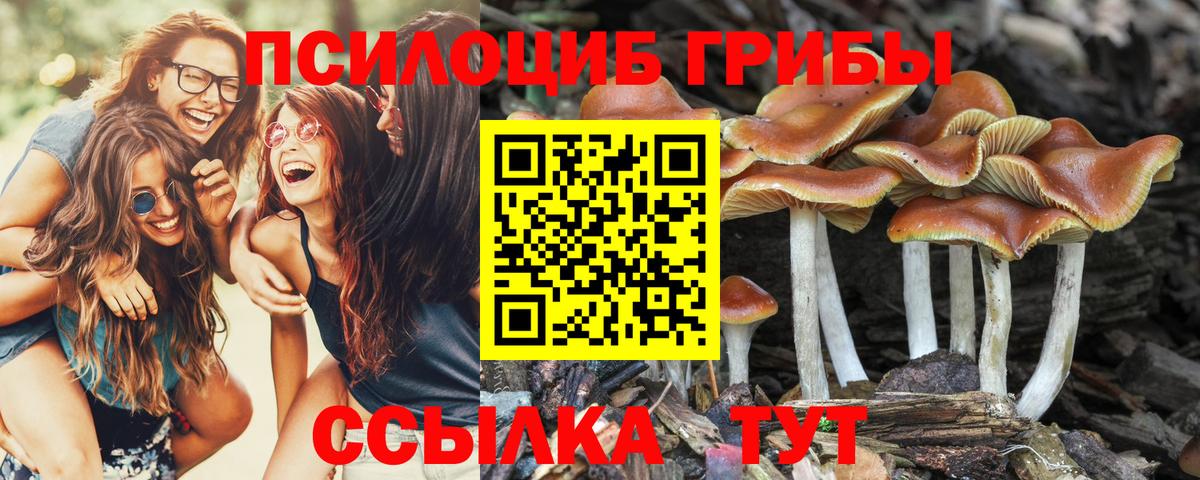 Псилоцибиновые грибы мухоморы Сокол