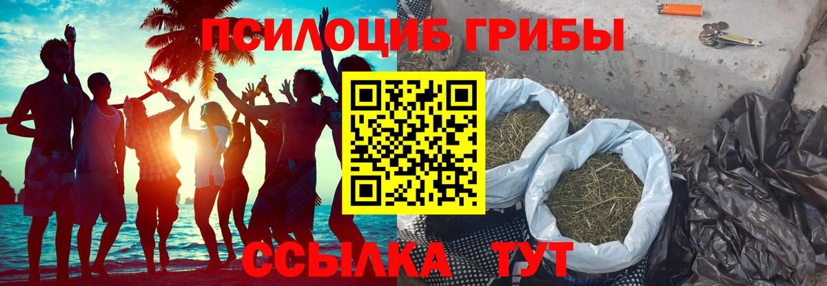 где продают   Вход с VPN  Сокол  Псилоцибиновые грибы ЛСД 