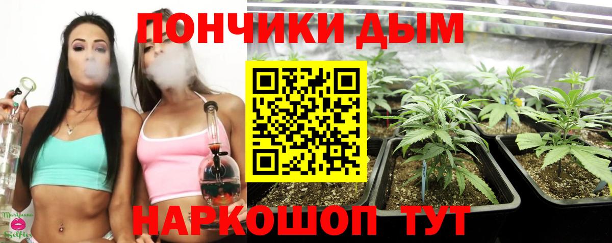 МАРИХУАНА OG Kush Сокол